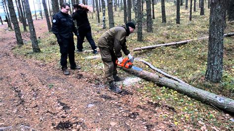 Распиливание бревна и создание двери