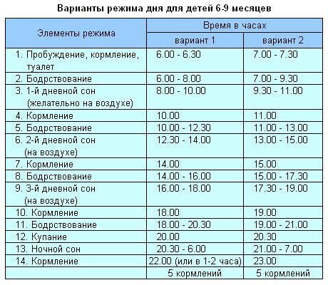 Расписание кормлений и сна