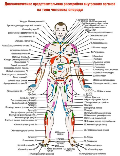 Расположение аппликатора на теле