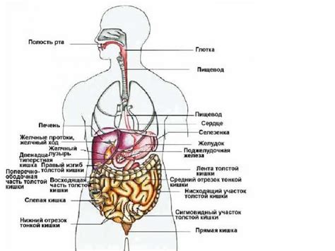 Расположение искомого тела