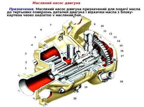 Расположение и функции масляного насоса пилы