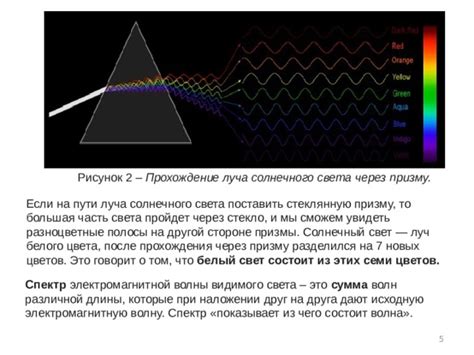 Расположение цветов с учетом солнечного света