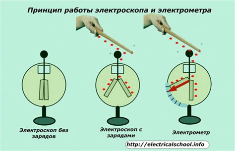 Распределение зарядов при прикосновении рукой к шарику электроскопа