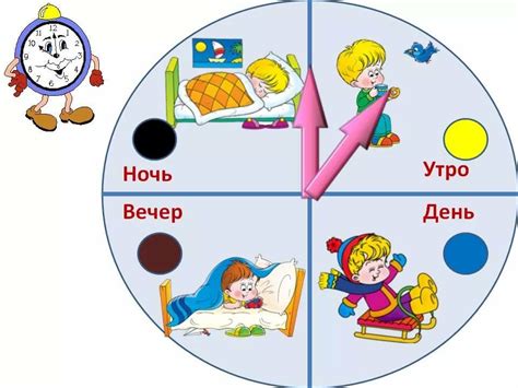 Распределение мух в разное время суток