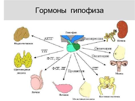 Распределение пигмента