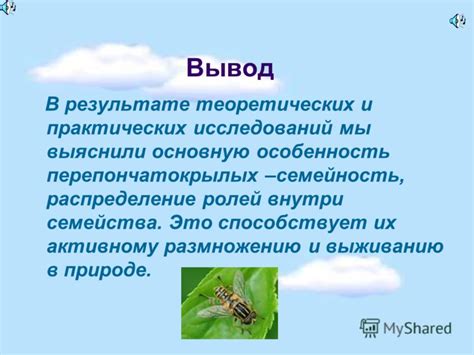 Распределение ролей в природе