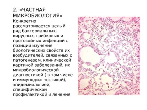 Распространение грибковых и бактериальных инфекций