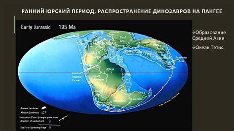 Распространение динозавров по разным континентам