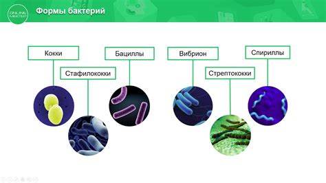 Распространение инфекций и бактерий