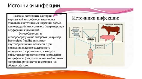 Распространение инфекционных болезней