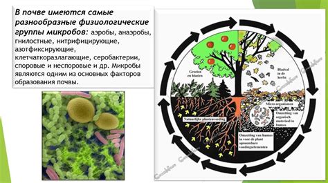 Распространение и последствия атак микроорганизмов-вредителей