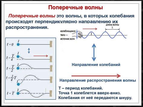 Распространение поперечных и продольных волн в зависимости от типа твердого тела