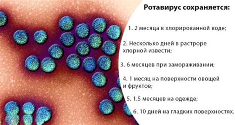 Распространение ротавируса: эффективные способы провоцировать его развитие