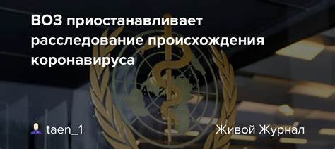 Расследование происхождения сердца Алеши Поповича