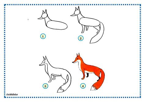 Рассмотрите основные шаги для рисования лисы