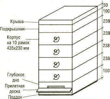 Расстановка основных элементов улья