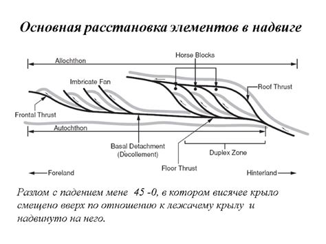 Расстановка элементов