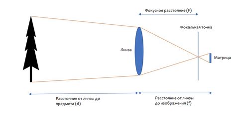 Расстояние как фактор векторного брака