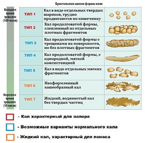 Расстройства пищеварения, вызывающие жидкий стул