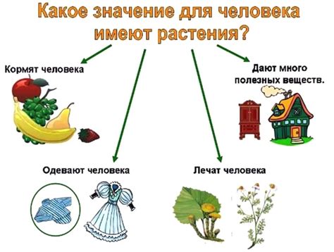 Растения обеспечивают животным жилище