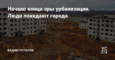 Расцветающая популярность: почему люди покидают города и устремляются в леса