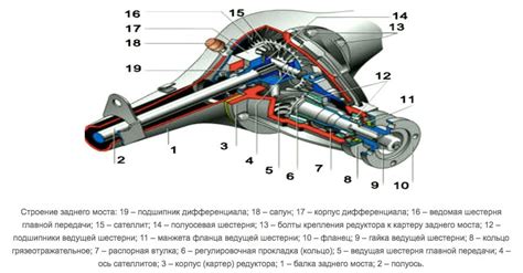 Расчетные модели плавучести заднего моста