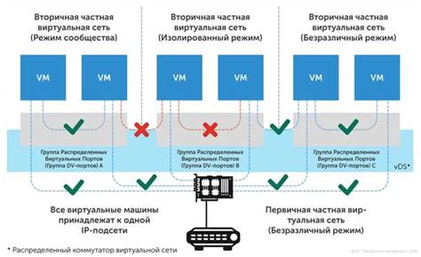 Расширение границ общения: плюсы и минусы виртуальных связей