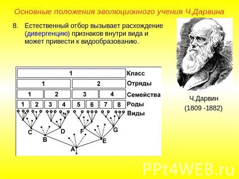 Расширение теории эволюции