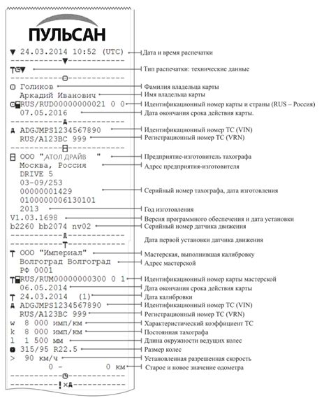 Расшифровка данных, полученных от эхолота и структурсканера: важная информация