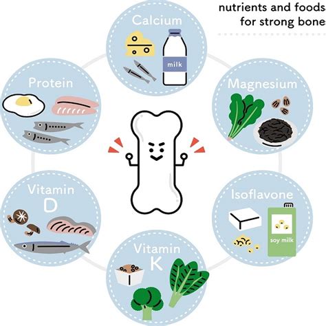 Рациональное питание для укрепления костной ткани