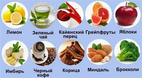 Рациональное питание для ускорения метаболизма