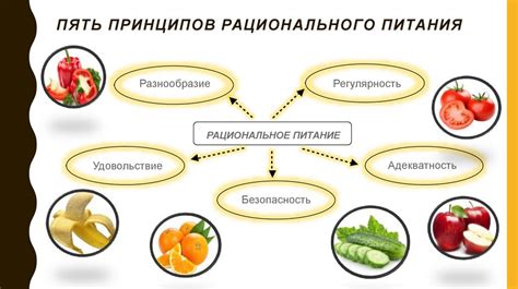 Рациональное питание как основа здоровья