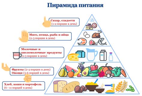 Рацион кошек: основные составляющие питания