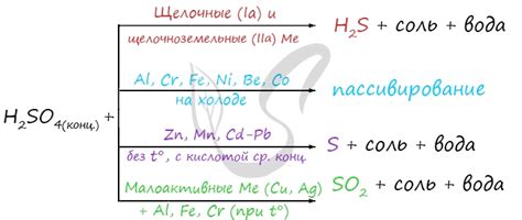 Реакция: особенности и значение