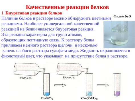 Реакция белка на высокую температуру