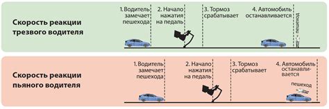 Реакция водителя и задержка реакции