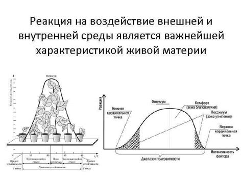 Реакция на воздействие среды