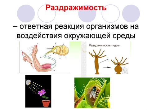 Реакция на воздействия окружающей среды