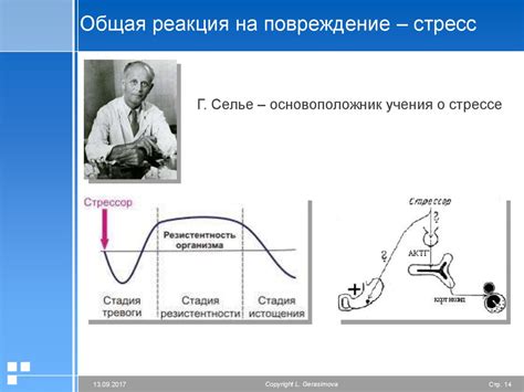 Реакция организма на долгосрочный стресс