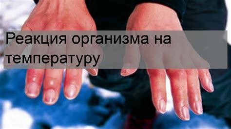 Реакция организма на окружающую температуру