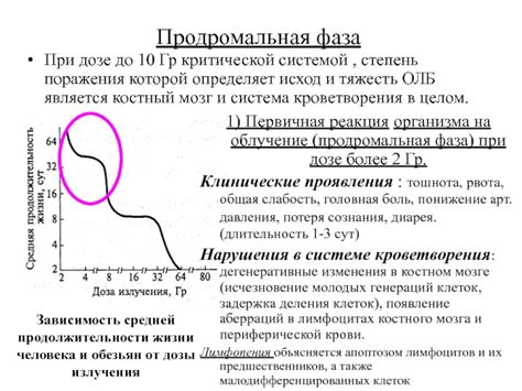 Реакция организма на понижение градуса