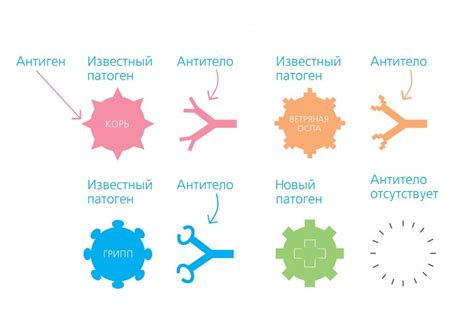 Реакция организма на прививки и лекарства