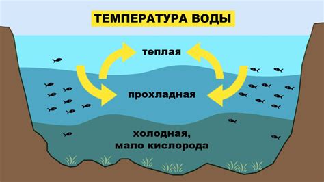 Реакция рыбы на изменения температуры воды