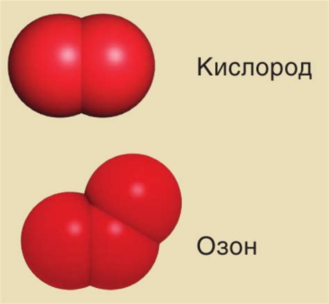 Реакция фрукта на кислород