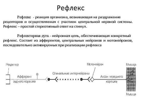 Реакция хвоста на раздражение