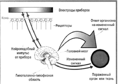 Реакция центральной нервной системы