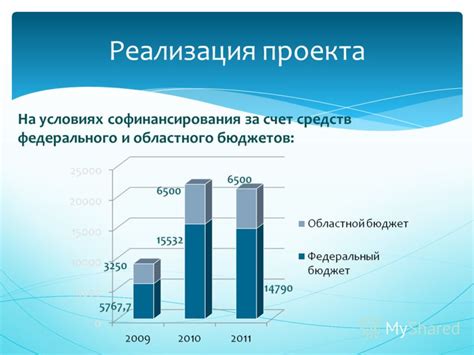 Реализация проекта с учетом софинансирования: