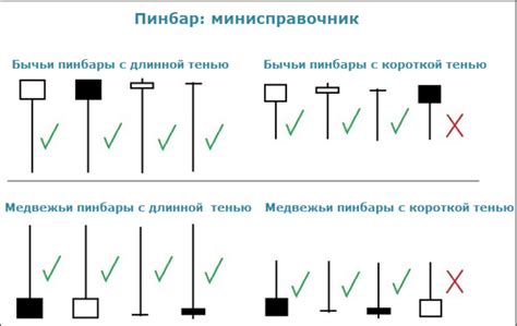 Реальность трейдинга в Яблочном Блоке Академии