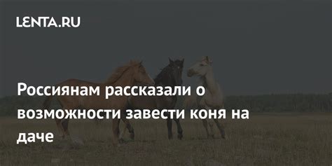 Реальные возможности прокачки коня