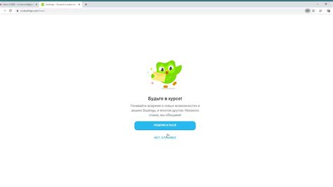 Регистрация аккаунта в Duolingo